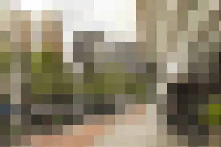 Schierstins 131 Amsterdam thumbnail 29