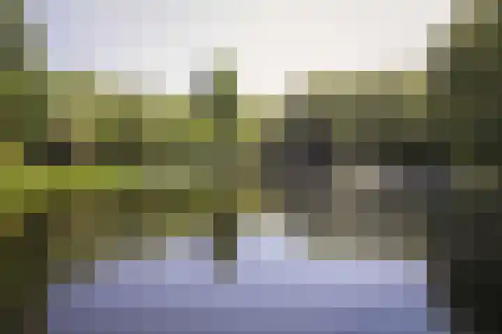 Schierstins 131 Amsterdam thumbnail 31