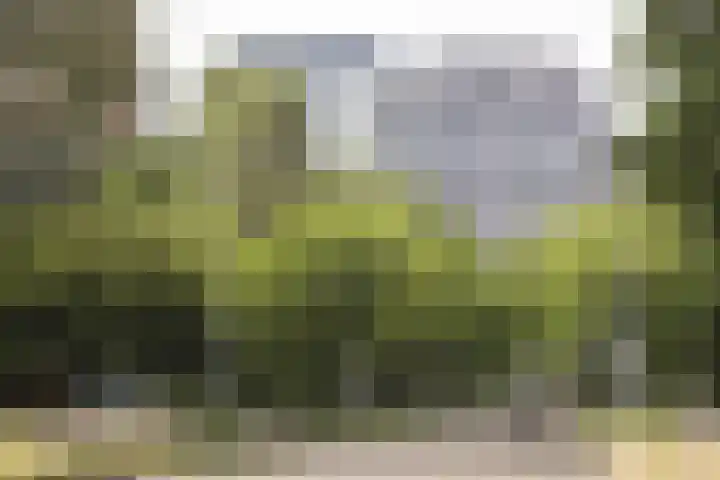 Schierstins 131 Amsterdam thumbnail 32
