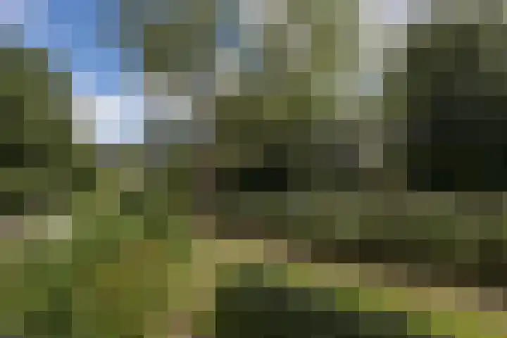 Schierstins 131 Amsterdam thumbnail 33