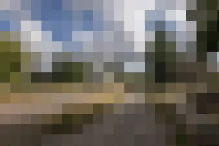 Schierstins 131 Amsterdam thumbnail 34