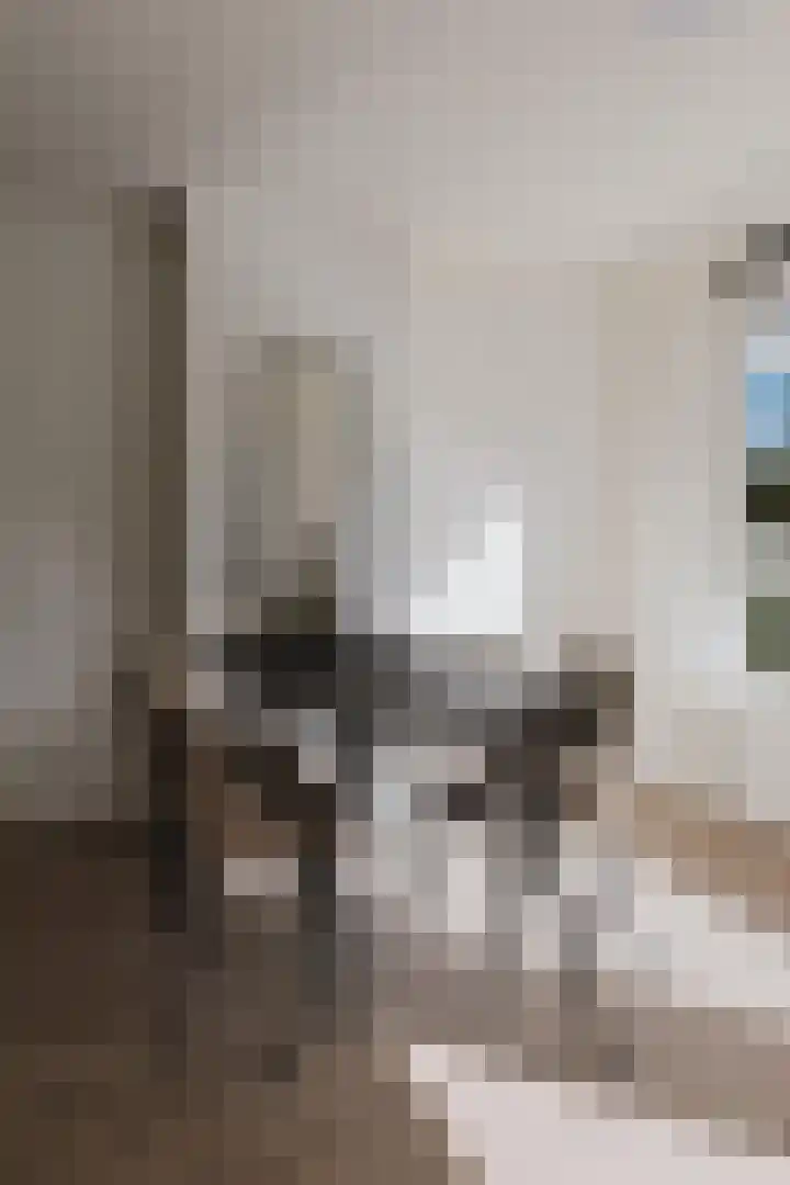 Schierstins 131 Amsterdam thumbnail 7