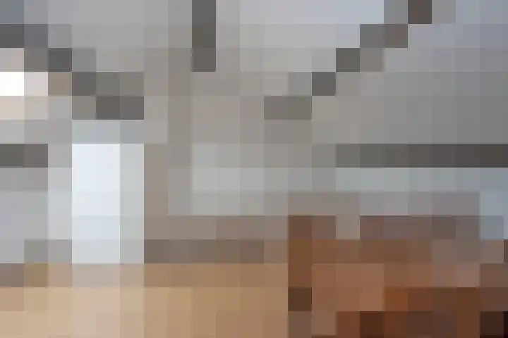 Schietbaan 22 Delden thumbnail 23