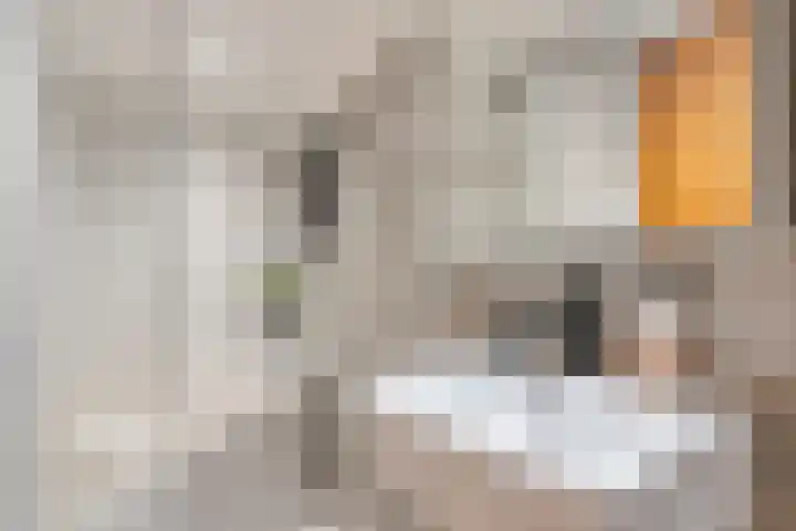 Schietbaanweg 2 Enschede thumbnail 30