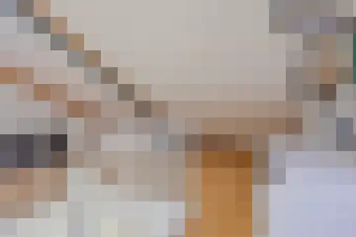 Schietspoel 16 Oss thumbnail 21