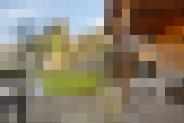 Schietspoel 16 Oss thumbnail 23
