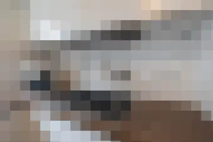 Schietspoel 19 Almelo thumbnail 12