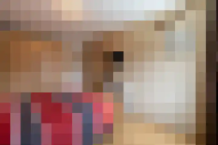 Schietspoel 19 Almelo thumbnail 19