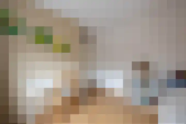 Schietspoel 19 Almelo thumbnail 21