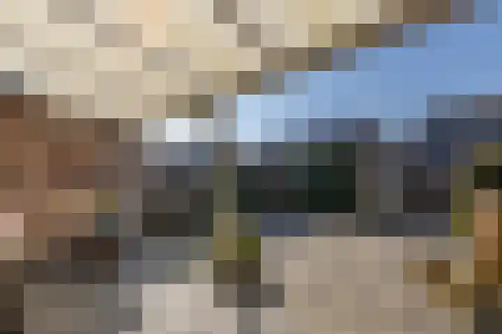 Schietspoel 19 Almelo thumbnail 25