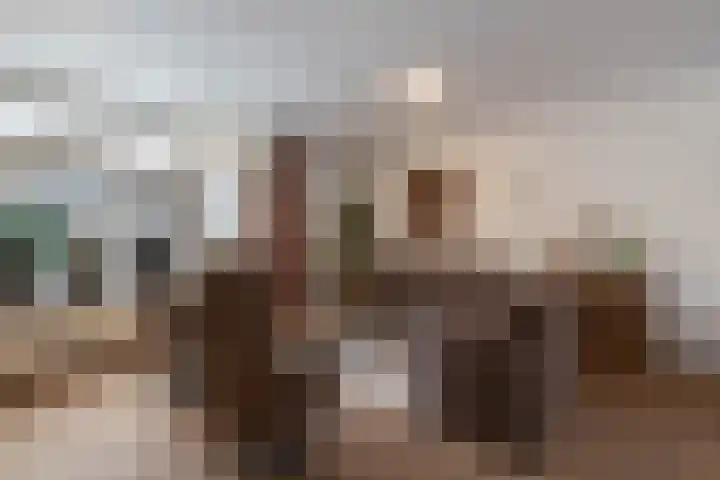 Schietspoel 19 Almelo thumbnail 7