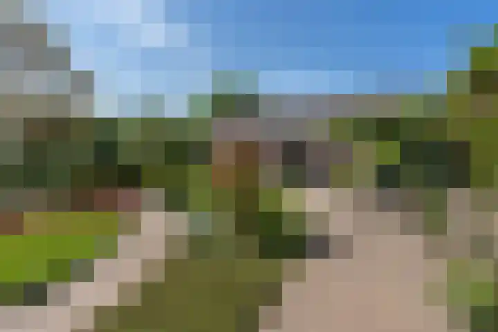 Schietspoel 207 Oss thumbnail 10