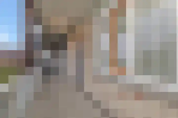 Schietspoel 207 Oss thumbnail 11
