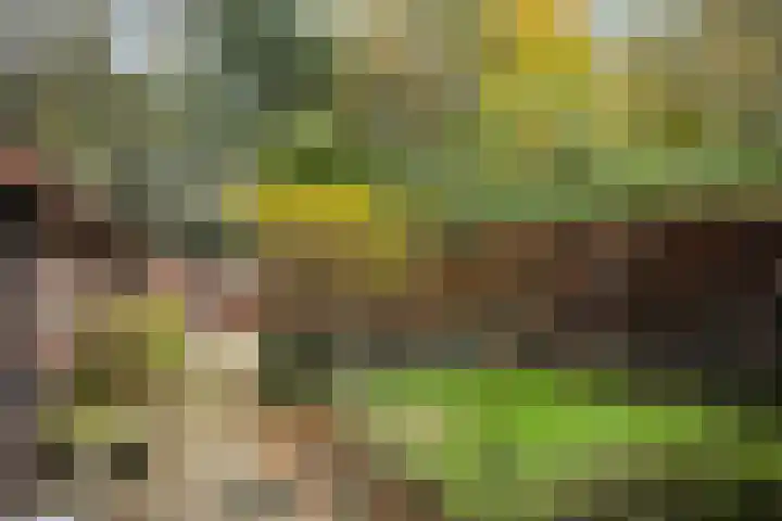 Schietspoel 207 Oss thumbnail 15