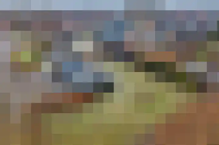 Schietspoel 207 Oss thumbnail 16