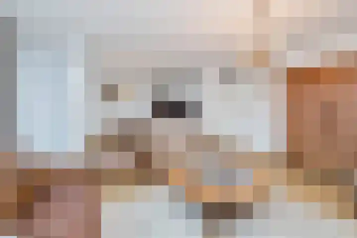 Schietspoel 207 Oss foto 2