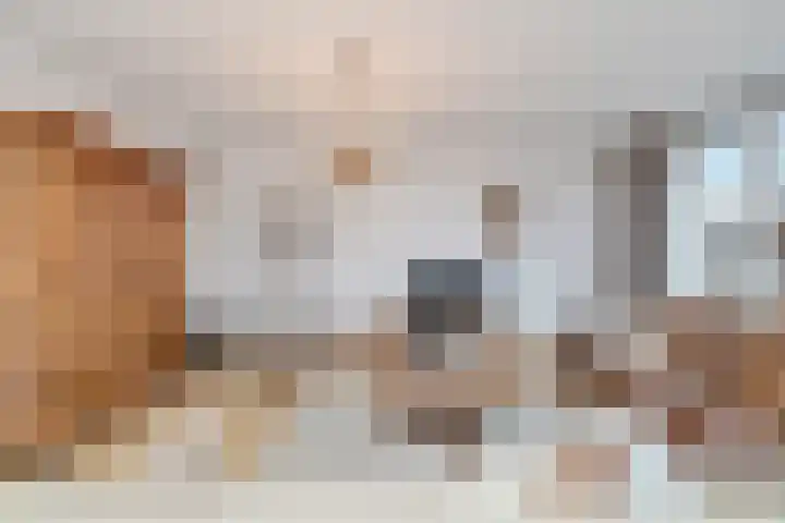 Schietspoel 207 Oss thumbnail 22