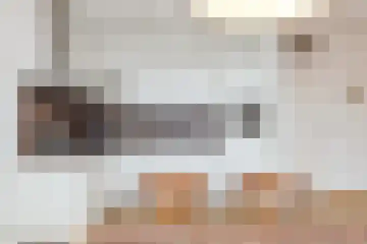 Schietspoel 207 Oss thumbnail 25