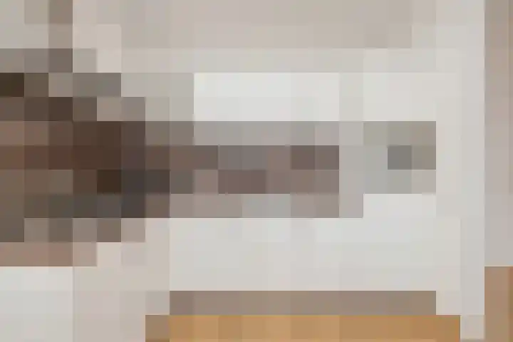 Schietspoel 207 Oss thumbnail 26