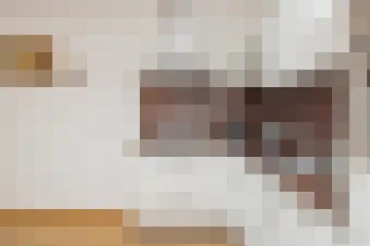 Schietspoel 207 Oss thumbnail 27