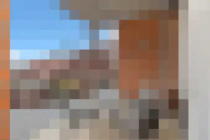 Schietspoel 207 Oss thumbnail 4