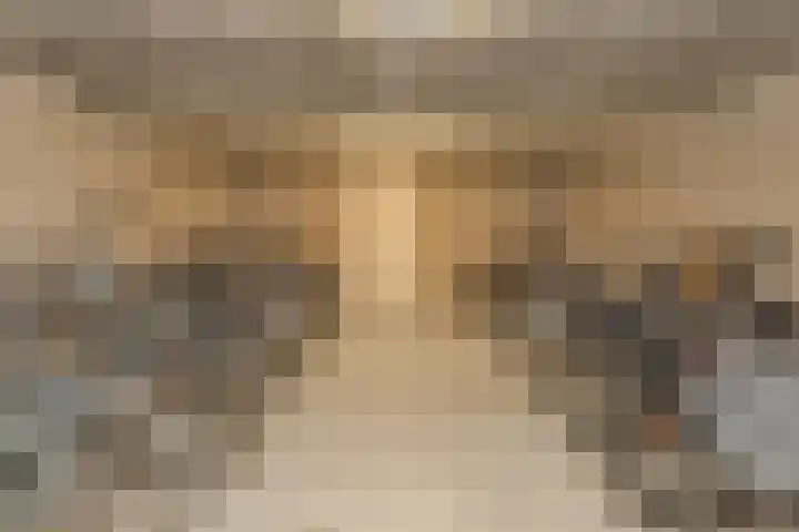 Schietspoel 207 Oss thumbnail 45