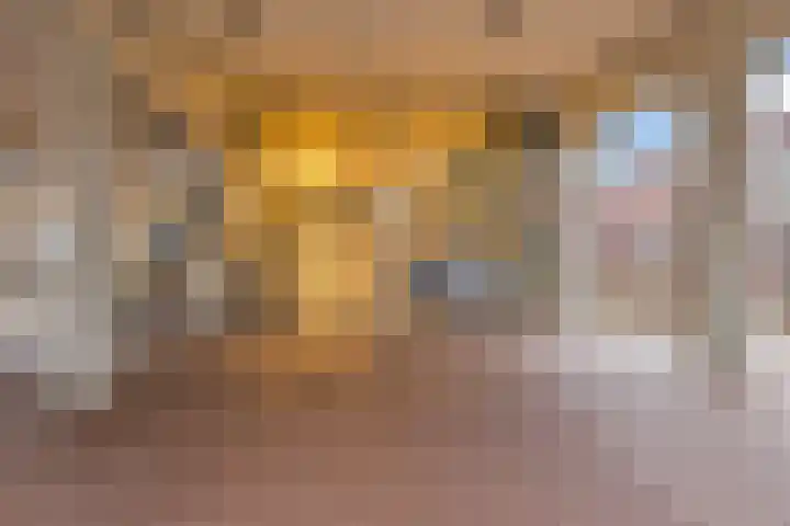 Schietspoel 207 Oss thumbnail 6