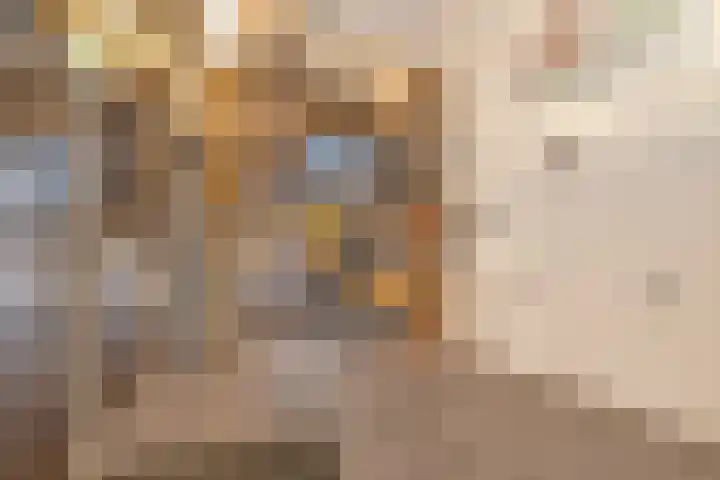 Schietspoel 207 Oss thumbnail 7