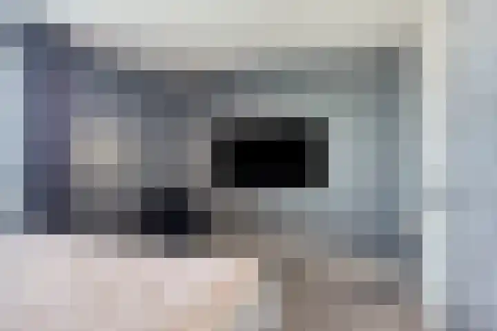 Schietspoel 259 Oss thumbnail 26