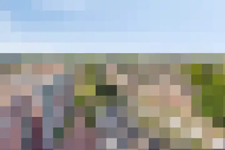 Schietspoel 259 Oss thumbnail 35