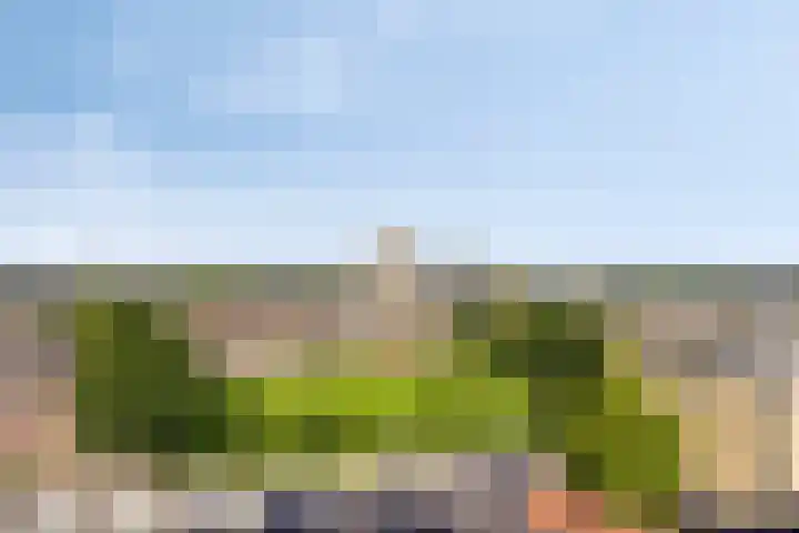 Schietspoel 259 Oss thumbnail 5