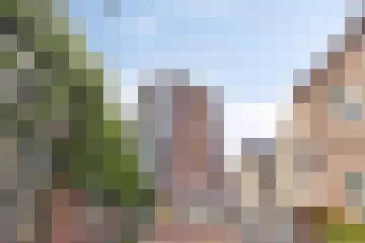 Schietspoel 259 Oss thumbnail 6