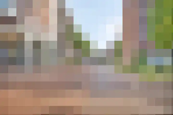 Schietspoel 259 Oss thumbnail 8