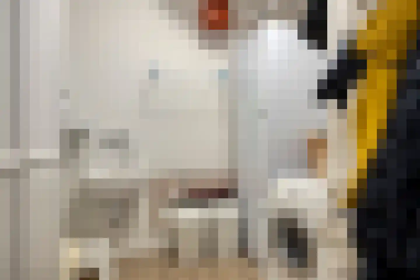 Schieveen 53 Lelystad thumbnail 39