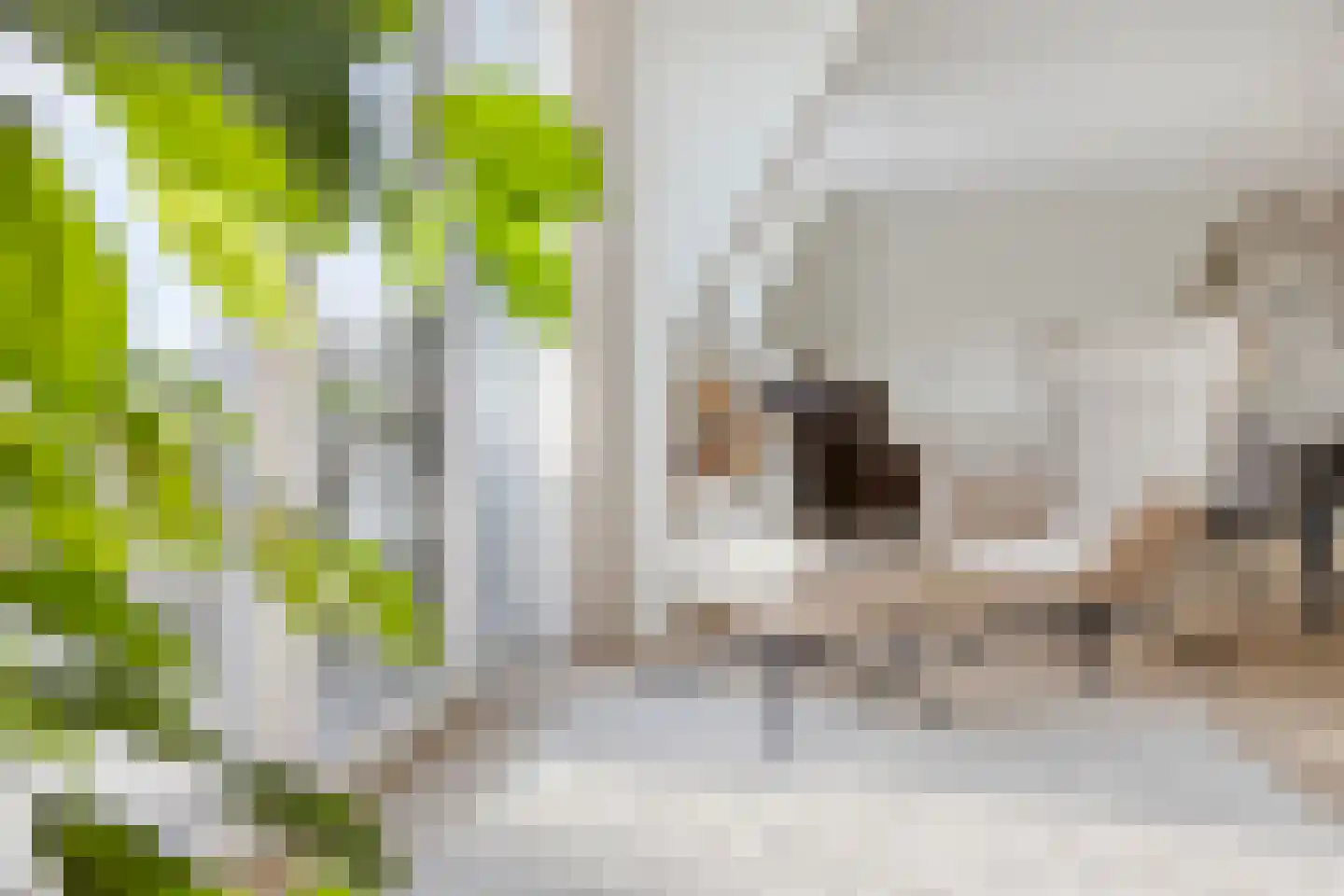 Schieveen 53 Lelystad thumbnail 4