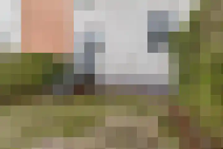 Schieveen 53 Lelystad thumbnail 8