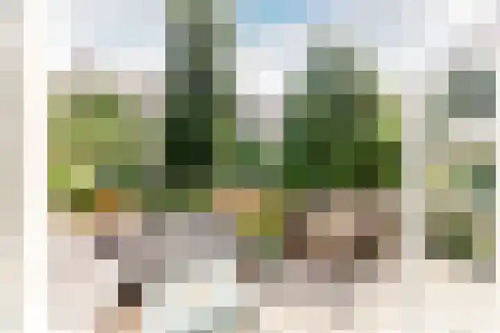 Schieweg 187 B 01 Rotterdam thumbnail 9
