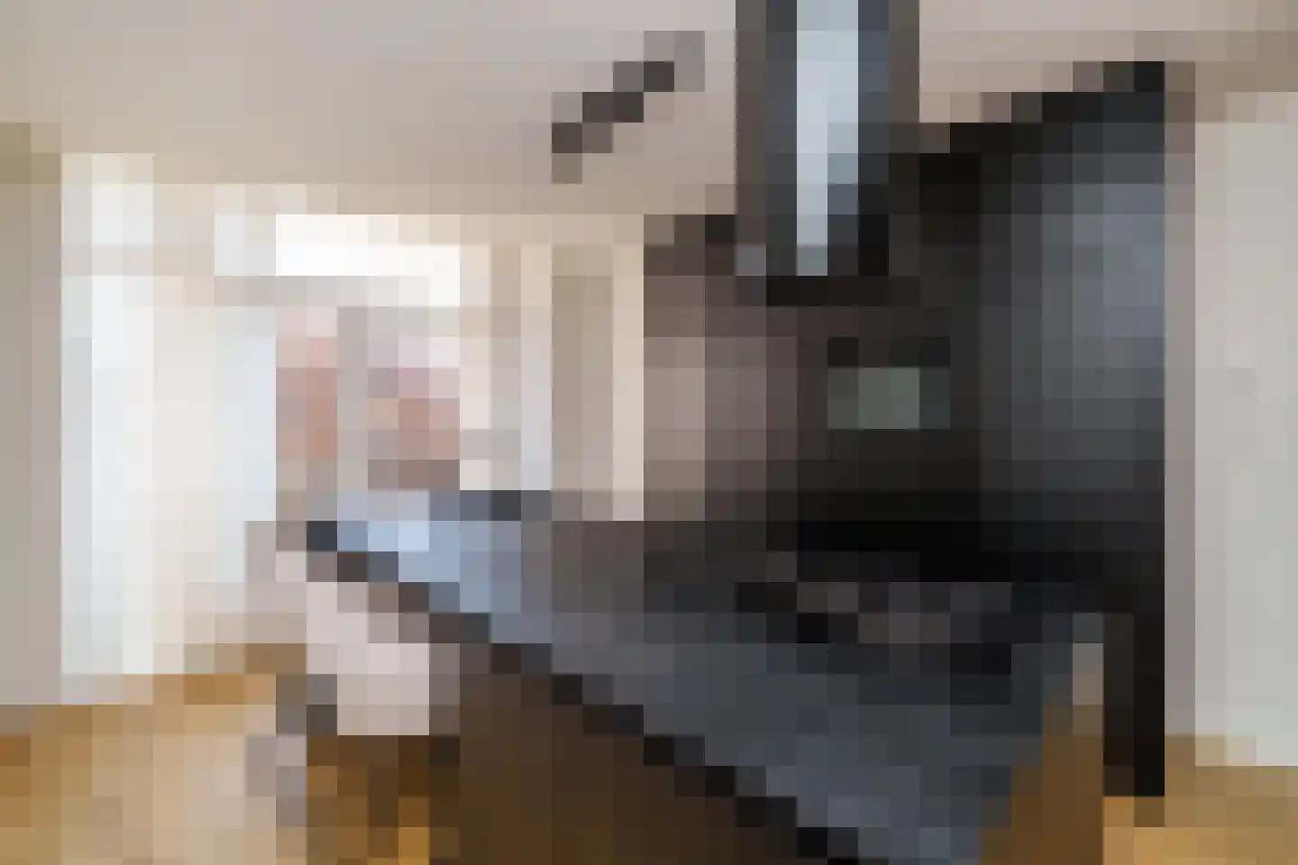 Schieweg 231 B 01 Rotterdam thumbnail 7