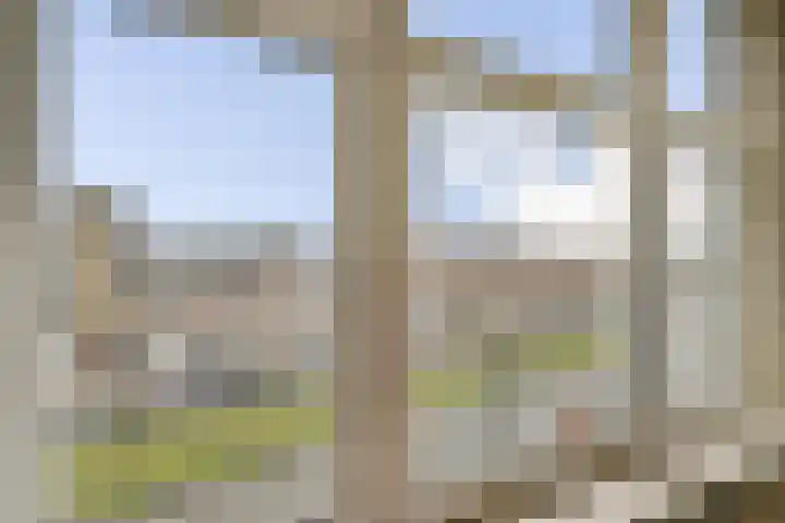 Schieweg 7 B Rotterdam thumbnail 8