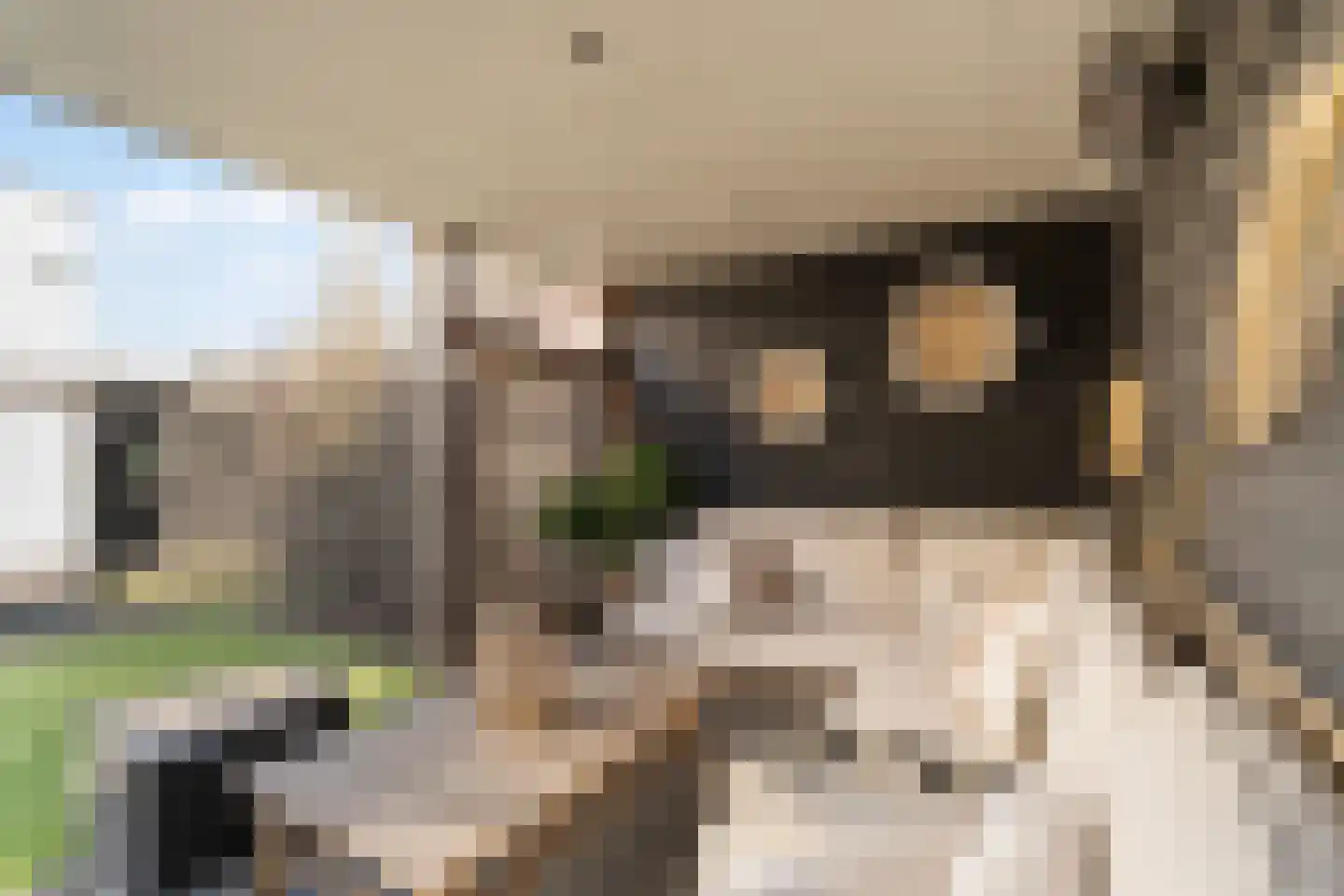 Schiewei 5 Noordwijk thumbnail 11