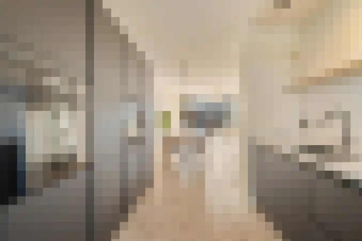 Schiewei 5 Noordwijk thumbnail 21