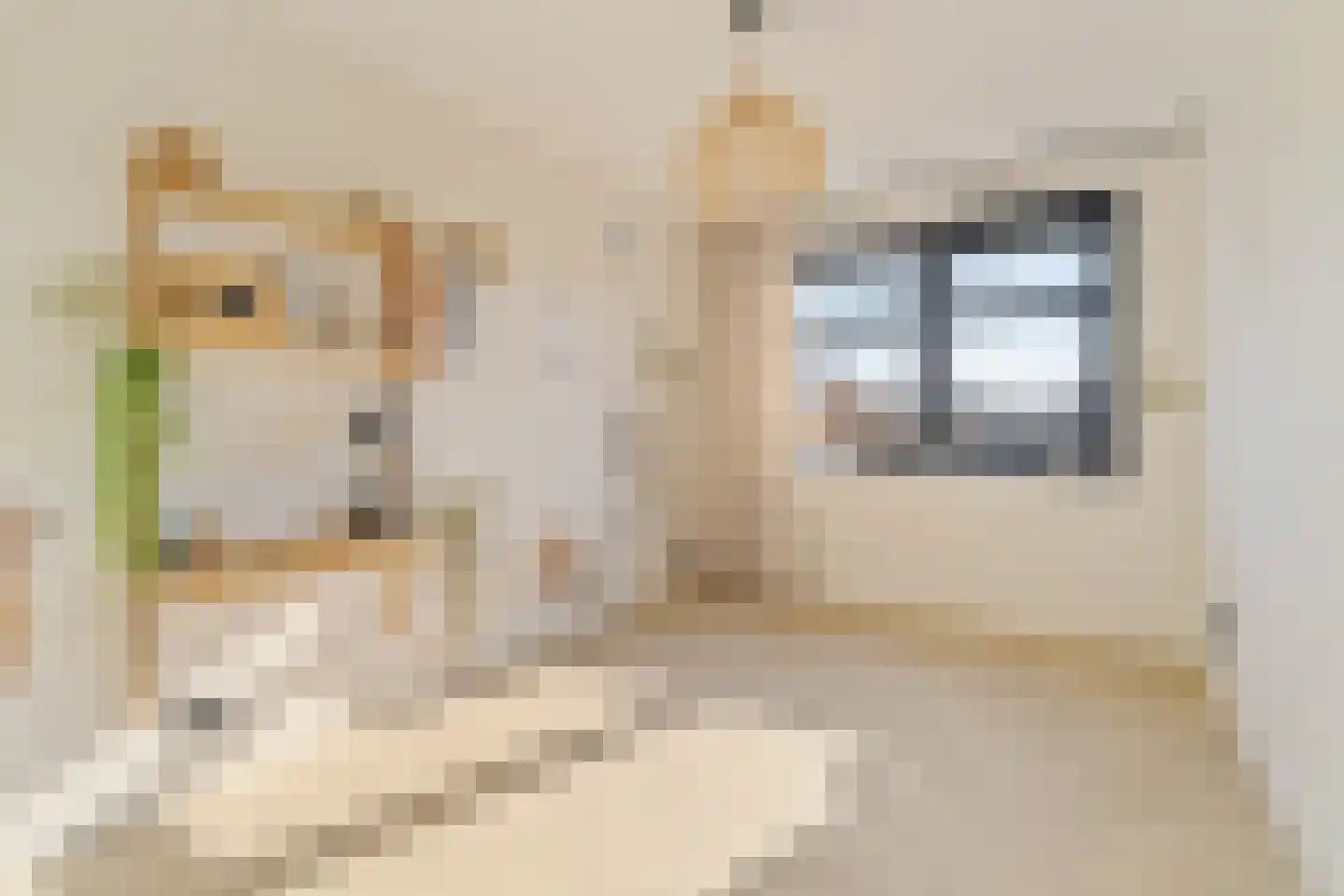 Schiewei 5 Noordwijk thumbnail 28
