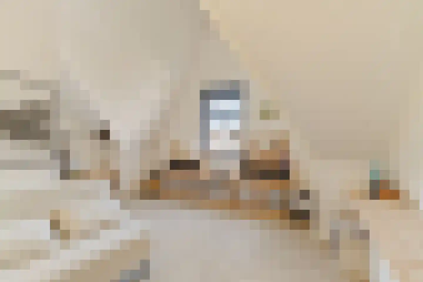 Schiewei 5 Noordwijk thumbnail 34