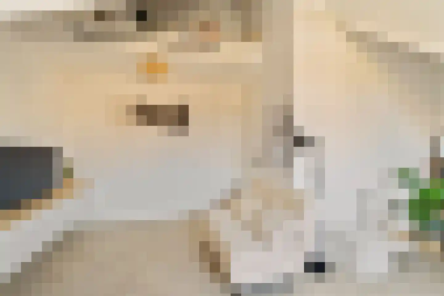 Schiewei 5 Noordwijk thumbnail 36