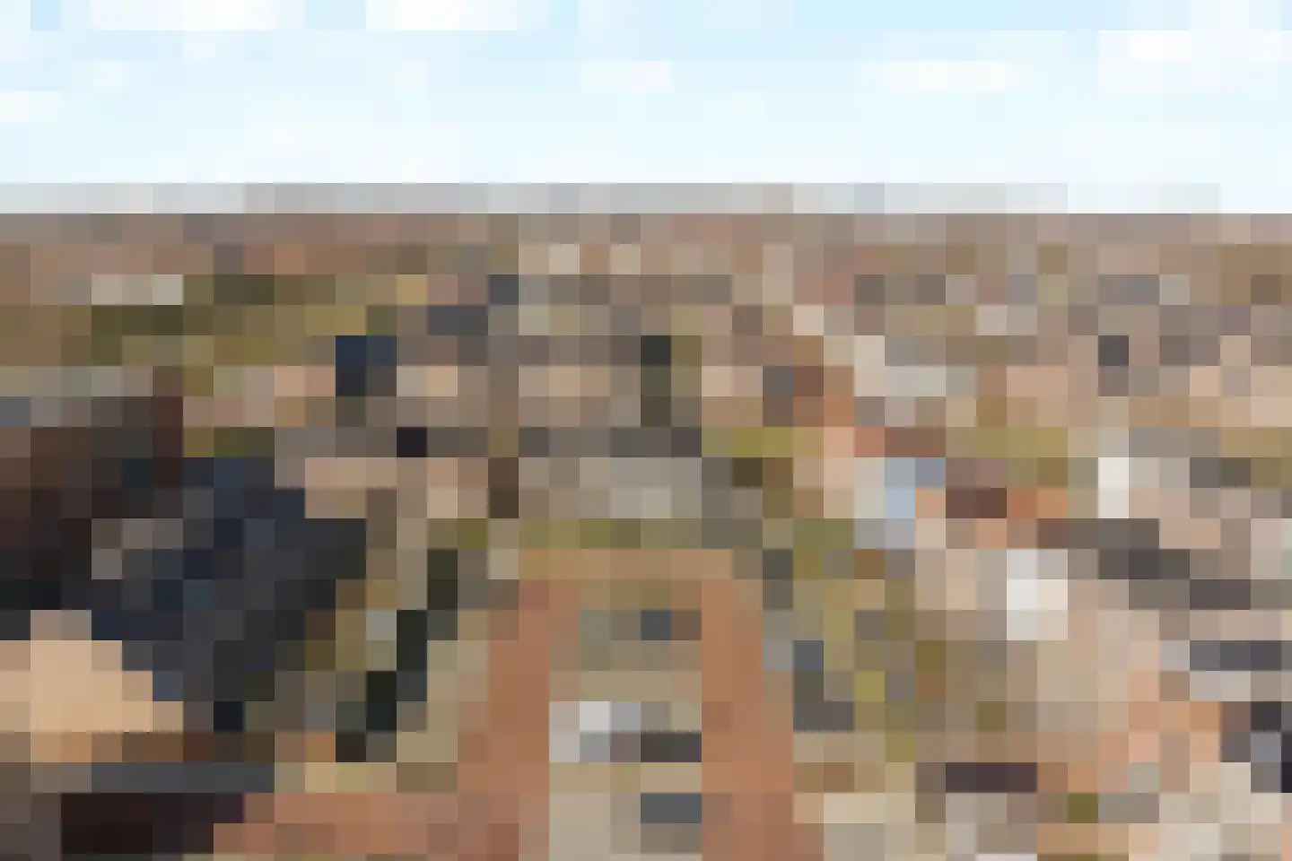 Schiewei 5 Noordwijk thumbnail 38
