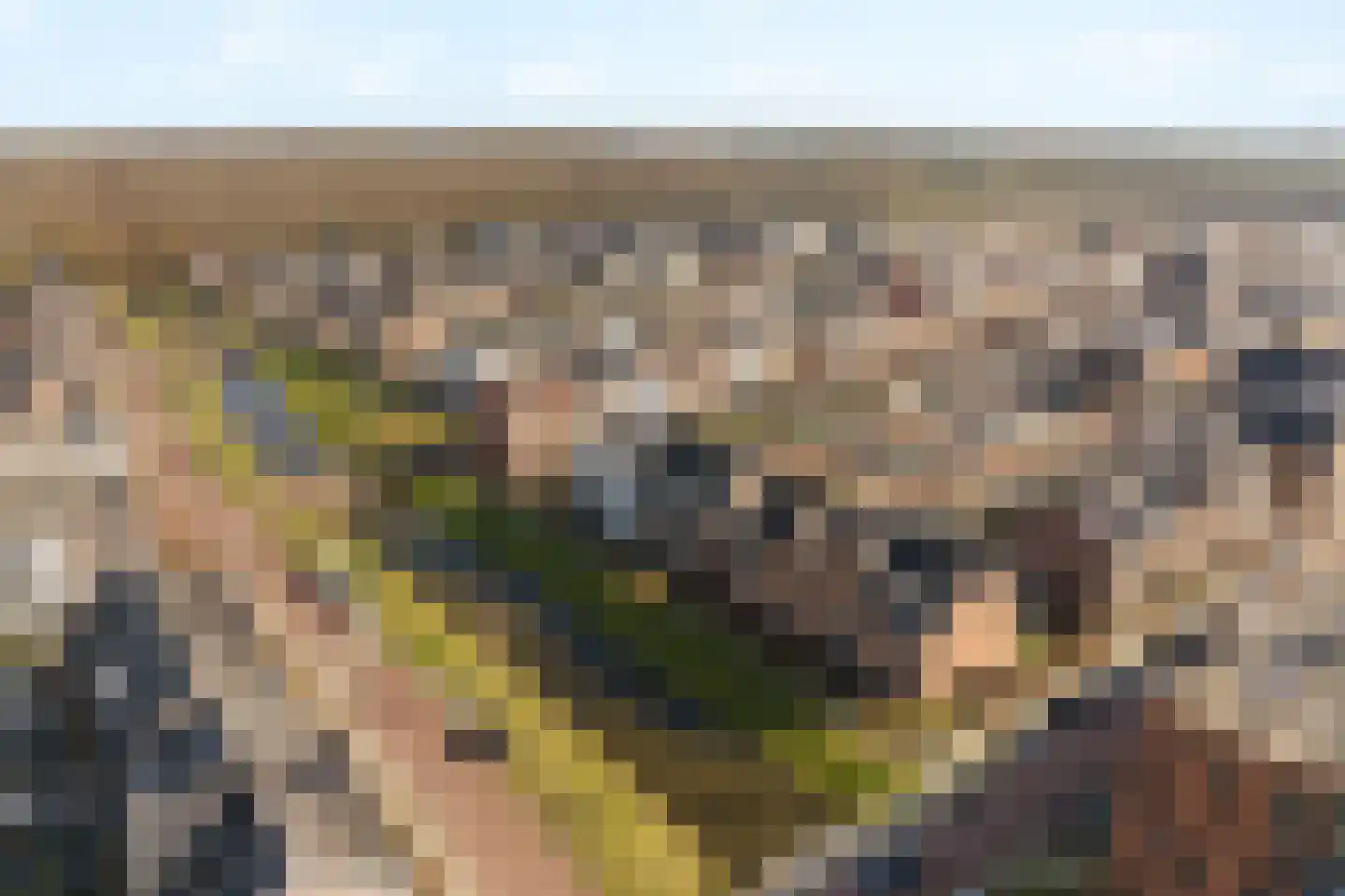 Schiewei 5 Noordwijk thumbnail 40