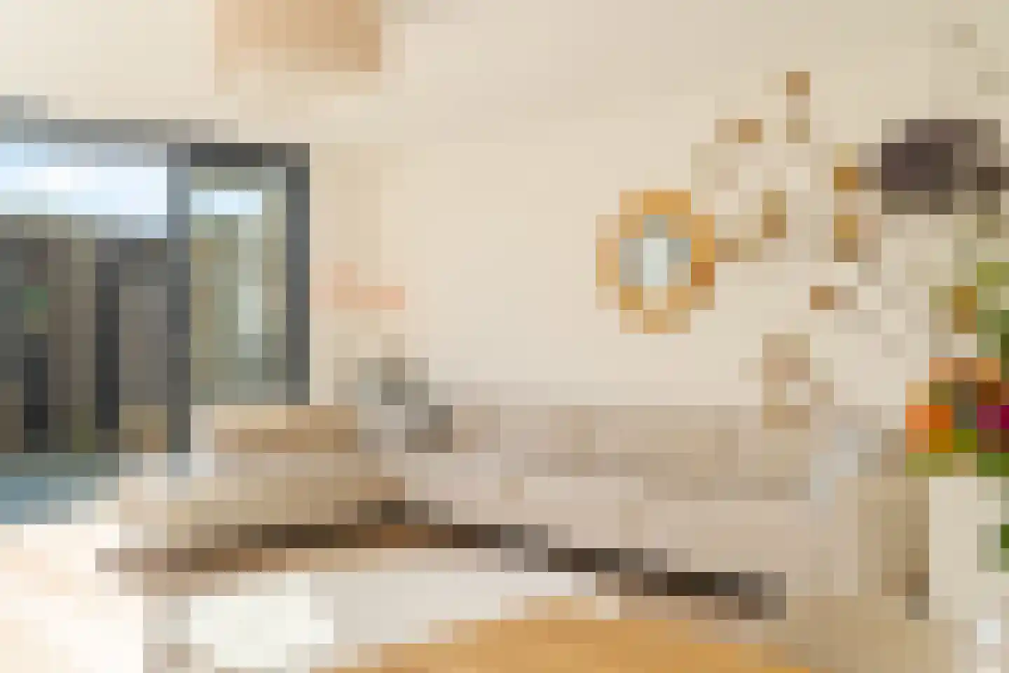 Schiewei 5 Noordwijk thumbnail 7