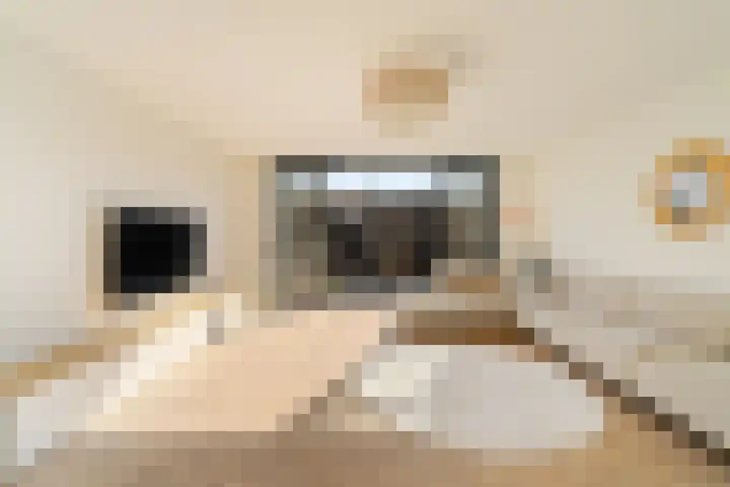 Schiewei 5 Noordwijk thumbnail 8