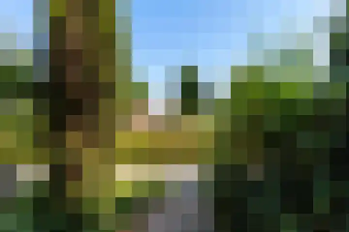 Schijndelseweg 84 Boxtel thumbnail 54