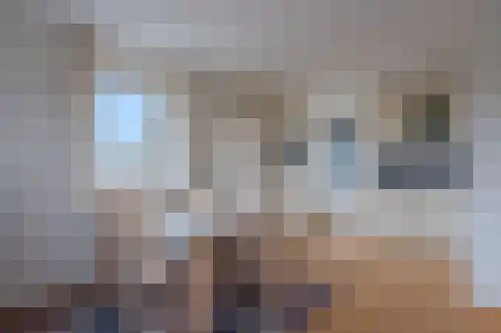 Schiksedijk 11 America thumbnail 11